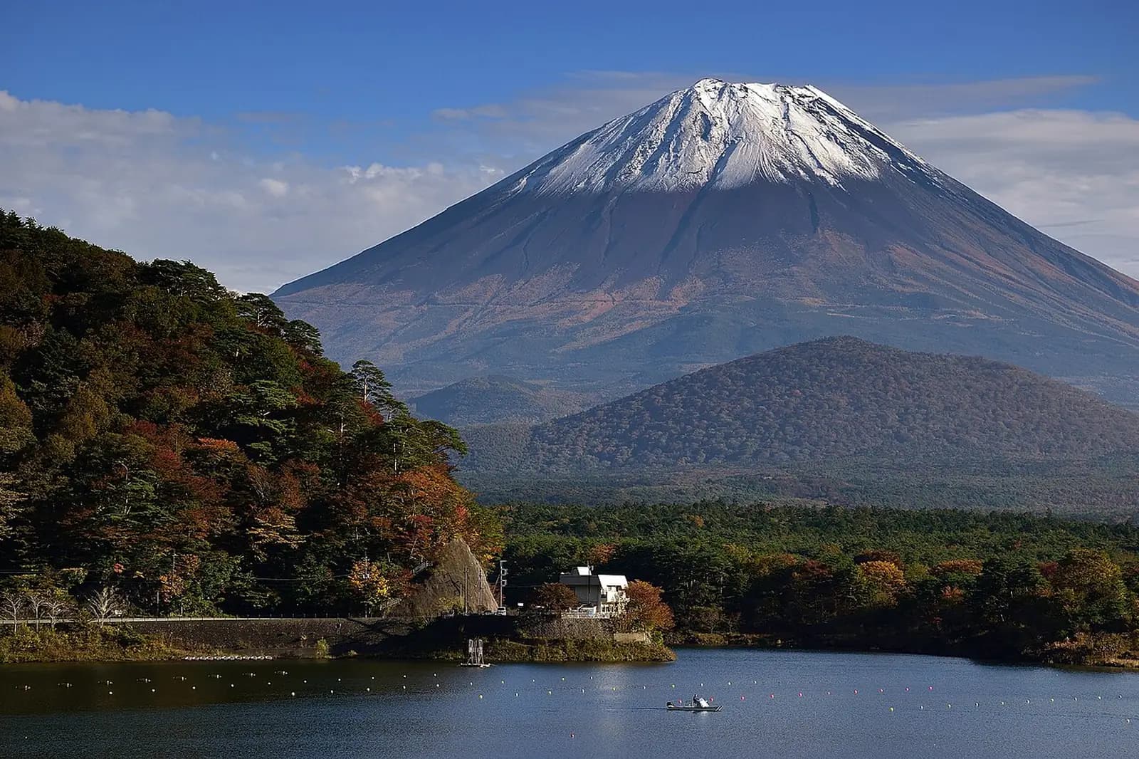 Mount Fuji with cherry blossoms in the foreground, Japan